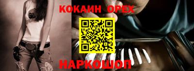 гашик Кинель