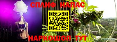 СК Кимры
