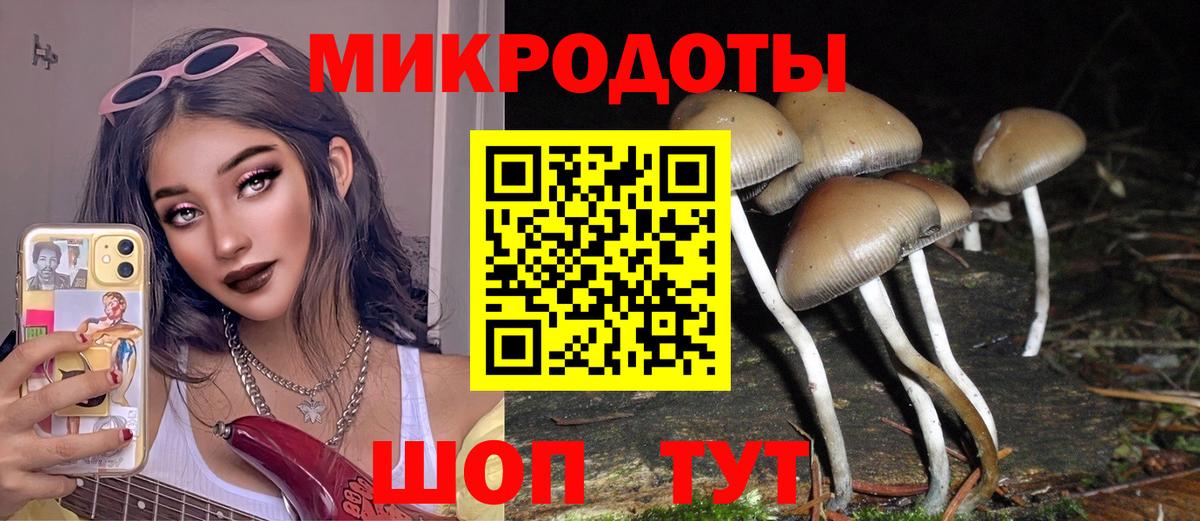 Псилоцибиновые грибы Psilocybine cubensis Маркс
