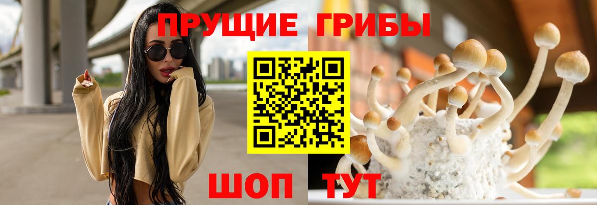 Маркс  купить закладку  Вход с VPN  Галлюциногенные грибы GOLDEN TEACHER  Галлюциногенные грибы MAGIC MUSHROOMS 