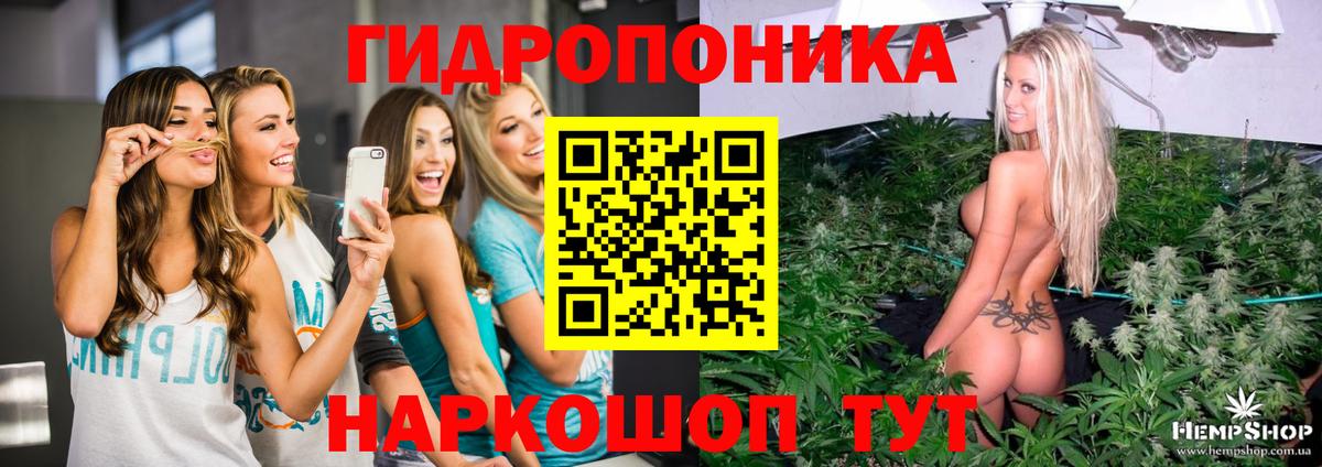 Каннабис MAZAR Маркс